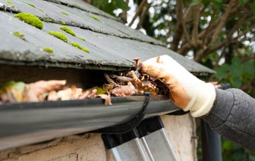 gutter cleaning Edge End