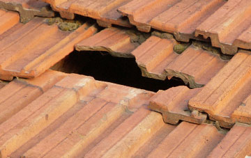 roof repair Edge End